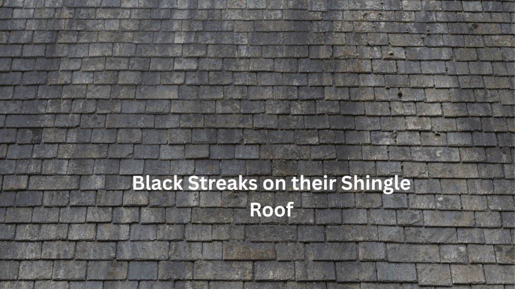 homeowner noticed black streaks on their shingles after just three years