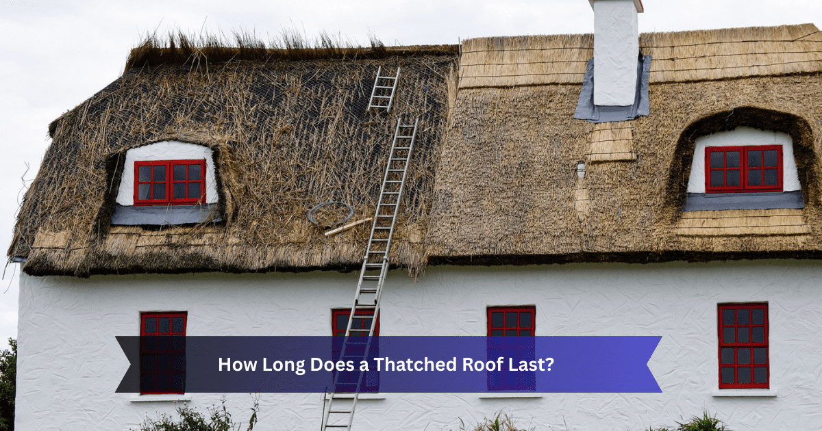 Traditional thatched roof cottage with natural reed roofing in the USA
