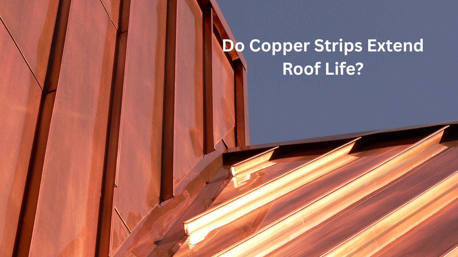 Do Copper Strips Extend Roof Life