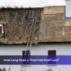 Traditional thatched roof cottage with natural reed roofing in the USA