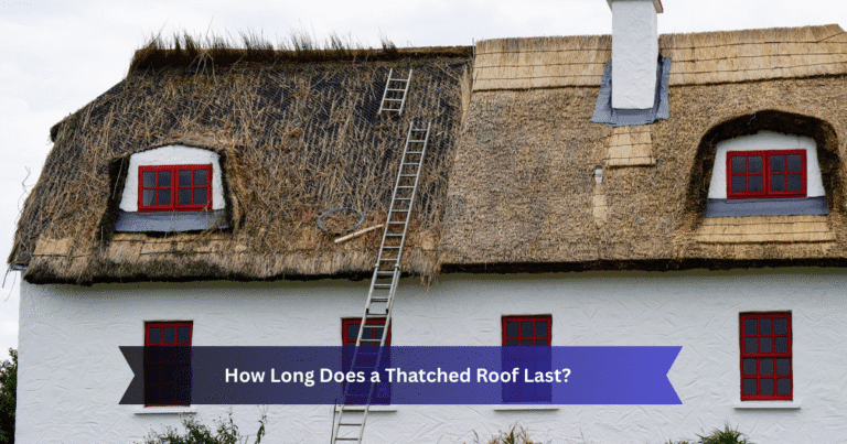 How Long Does a Thatched Roof Last? Lifespan, Care & Costs