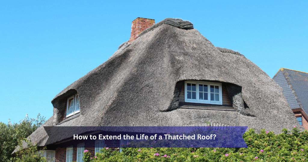 How to Extend the Life of a Thatched Roof